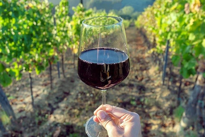 Garden Route & Winelands: 5-Day Spa, Wellness and Healthy Cuisine Tour photo 3