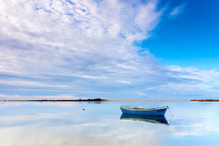 3-Hour Ria Formosa Boat Tour from Olhão: Islands, Wildlife & Swim photo 4
