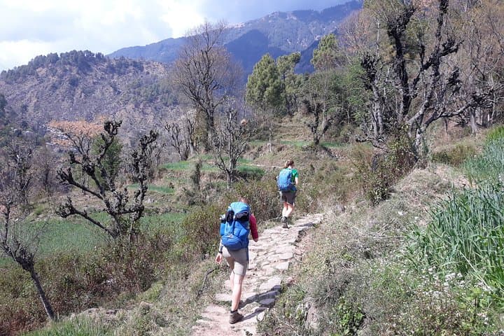4-Day Yoga Trek to Kareri Lake from McLeod Ganj photo 2