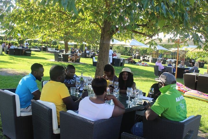Hermanus Whale Watching, Stony Point Penguins & Wine: Full-Day Private Tour from Cape Town photo 6