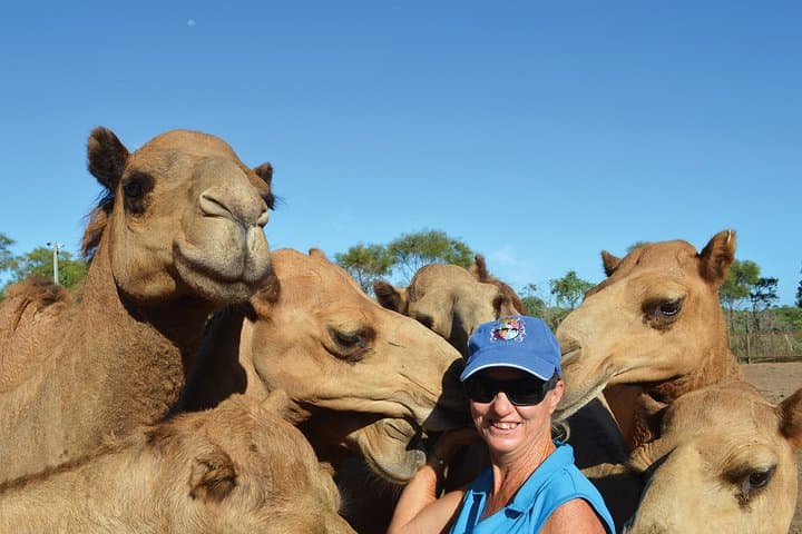 Sunset Camel Ride on Cable Beach — 1 Hour Broome Camel Tour photo 4