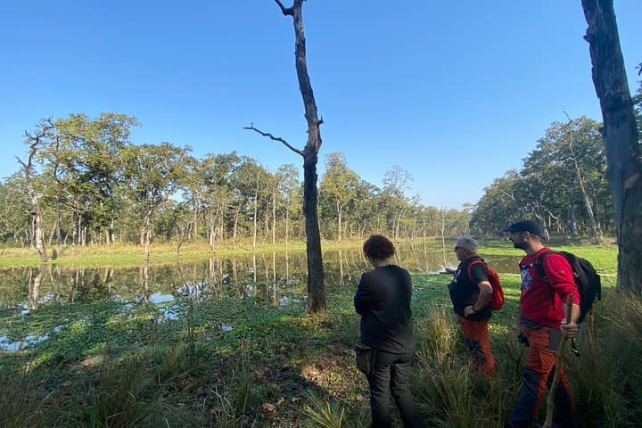 Chitwan National Park Safari: 1-Night, 2-Day Jeep, Birding & River Sunset photo 4