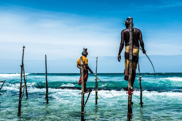10-Day Sri Lanka Wildlife Safari — Elephants, Leopards & Rainforest photo 3