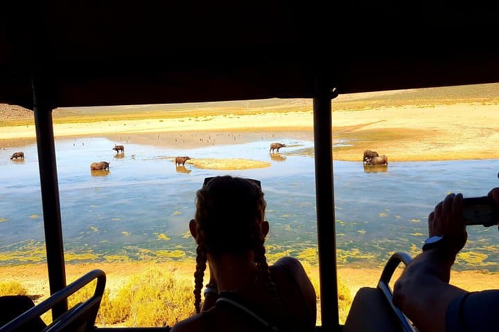 Aquila Game Reserve Big 5 Safari from Cape Town — Full-Day Game Drive photo 2