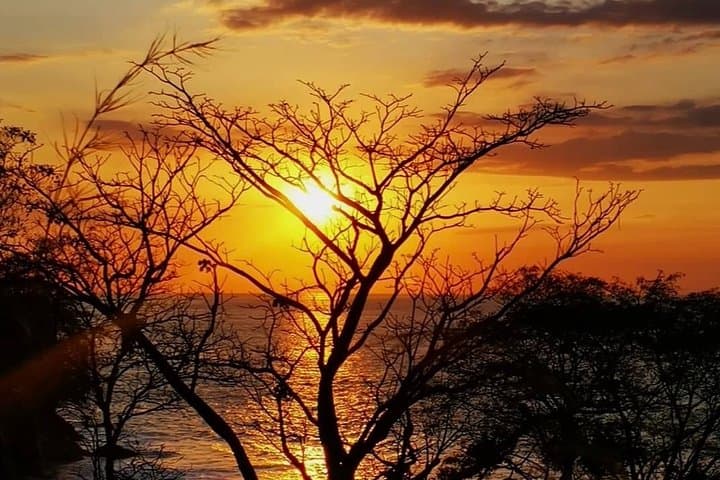 Manuel Antonio National Park: Full Wildlife Guided Walk from Quepos photo 5