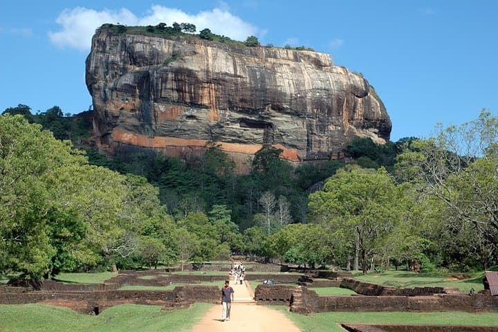 Sri Lanka for Families: Two-Week Minivan Adventure with Treehouses, Safaris & Beach Days photo 4