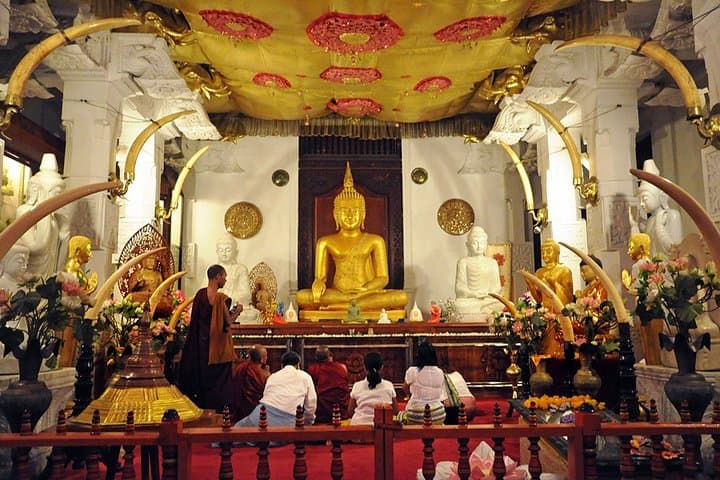 Sri Lanka for Families: Two-Week Minivan Adventure with Treehouses, Safaris & Beach Days photo 5