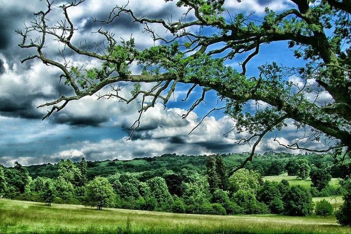 Kent Garden of England Private Tour — Leeds Castle, Canterbury, Dover & White Cliffs photo 2