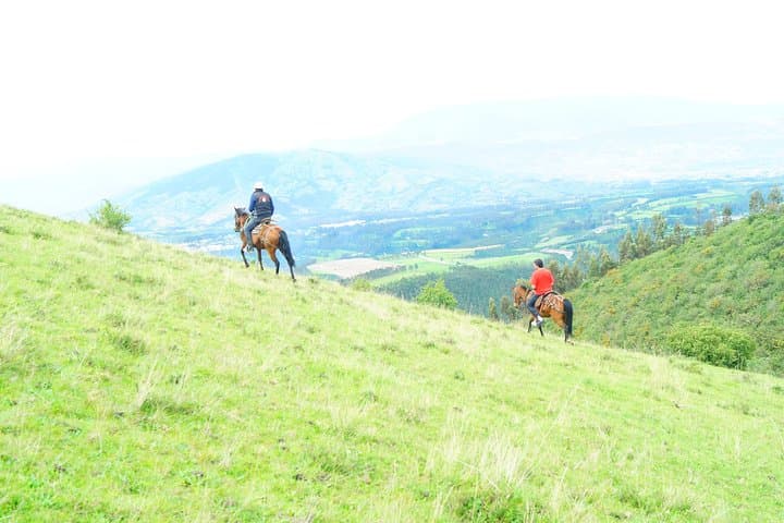 Roses & Horses Ride: Private Day Trip from Quito to Pifo Rose Farms and Highland Trails