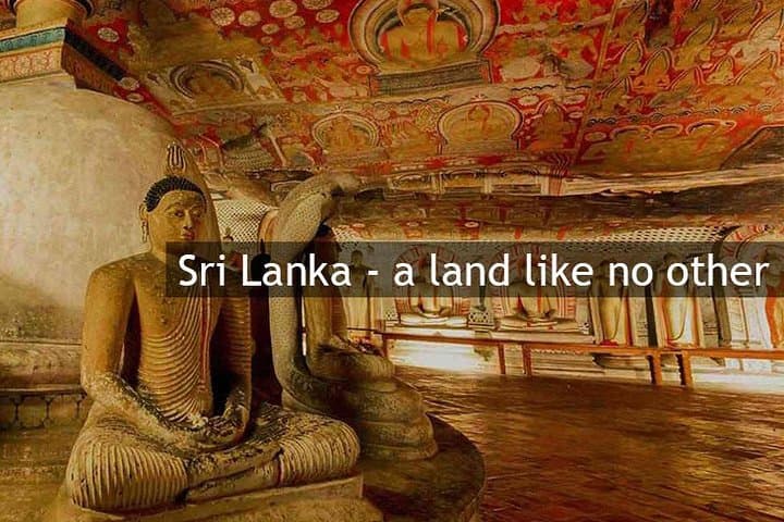 Sri Lanka Most Popular: 12-Day Cultural, Hill-Country & Wildlife Adventure photo 6