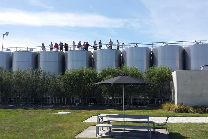 Private Marlborough Winery Tour — Custom Wine Tasting Through Marlborough's Vineyards photo 5