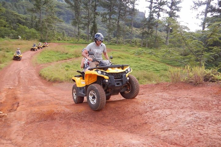 Moorea Quad and Jet Ski Combo: Belvedere Views, Pineapple Fields & Lagoon Wildlife photo 3