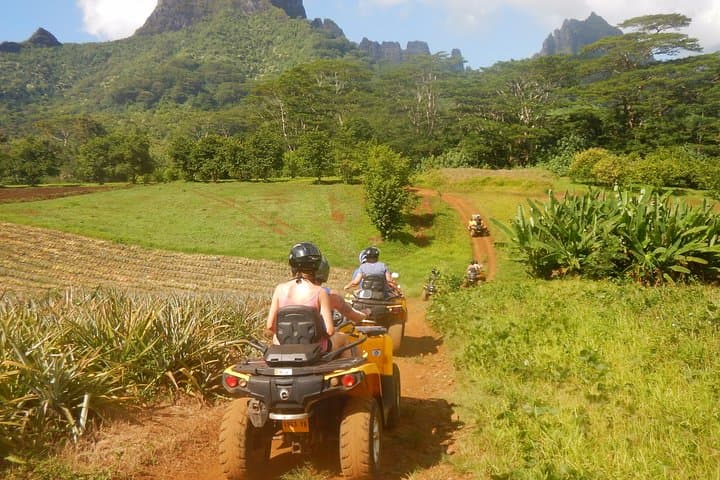 Moorea Quad and Jet Ski Combo: Belvedere Views, Pineapple Fields & Lagoon Wildlife photo 6