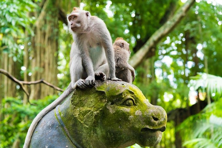 Customized Ubud Tour: Pick 5 Destinations in a Private Day Trip photo 2