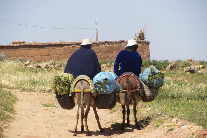 High Atlas Mountains Day Trip from Marrakech — Imlil Valley & Waterfall Tour photo 6