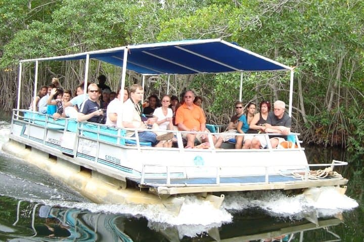 Black River Safari, YS Falls & Pelican Bar: Private South Coast Day Trip from Montego Bay