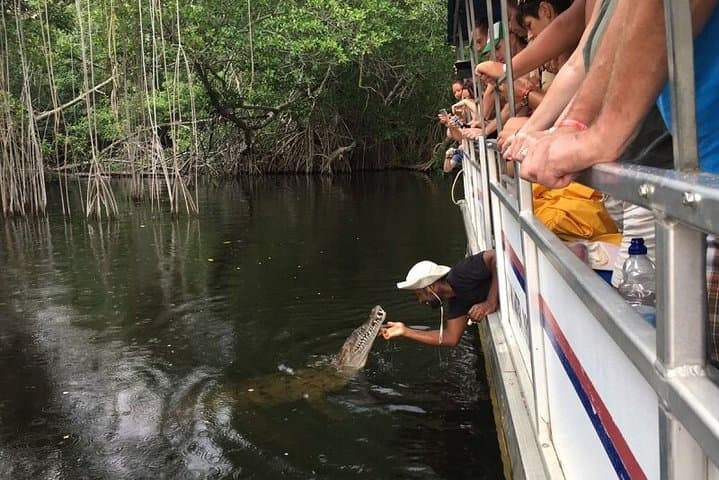 Black River Safari, YS Falls & Pelican Bar: Private South Coast Day Trip from Montego Bay photo 3