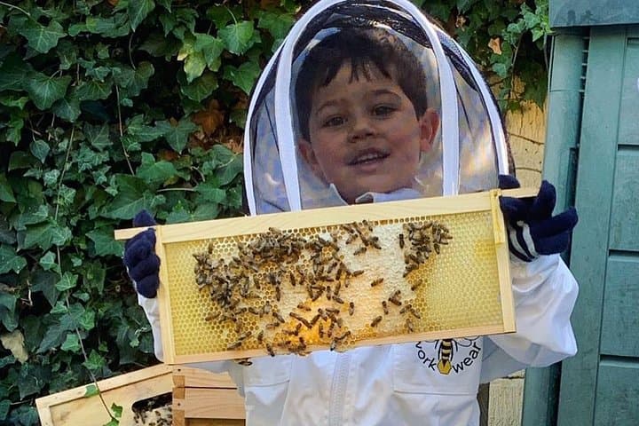 Inside West London’s Active Beehives: Hands-On Apiary Experience & Honey Tasting
