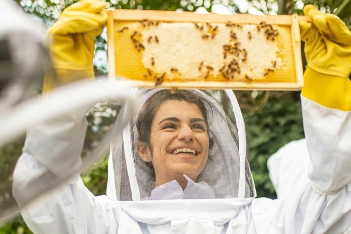 Inside West London’s Active Beehives: Hands-On Apiary Experience & Honey Tasting photo 4