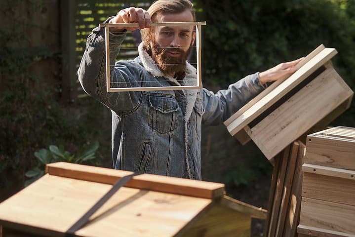 Inside West London’s Active Beehives: Hands-On Apiary Experience & Honey Tasting photo 6