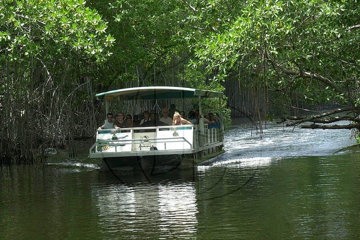 Black River Safari, YS Falls & Pelican Bar: Private South Coast Day Trip from Montego Bay photo 6