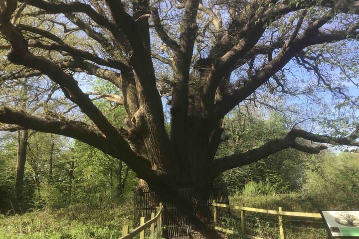 Stanmore Circular Private Walking Tour — Historic Village Walk & 40‑Mile View photo 4