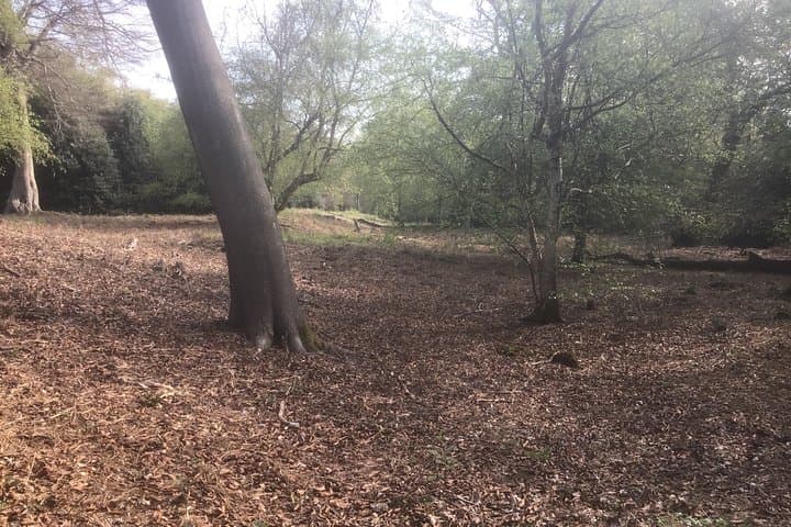 Stanmore Circular Private Walking Tour — Historic Village Walk & 40‑Mile View photo 6