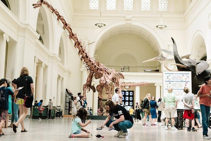Field Museum Chicago Guide: SUE, Dinosaurs, Ancient Egypt & Gems photo 2