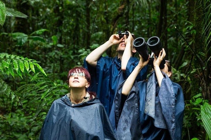 Costa Rica Safari: 14-Day Wildlife & Volcano Expedition