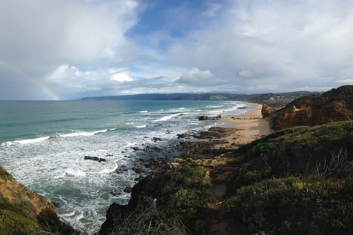 2-Day Private Great Ocean Road Tour: Twelve Apostles, Rainforest Walks & Coastal Wildlife photo 6