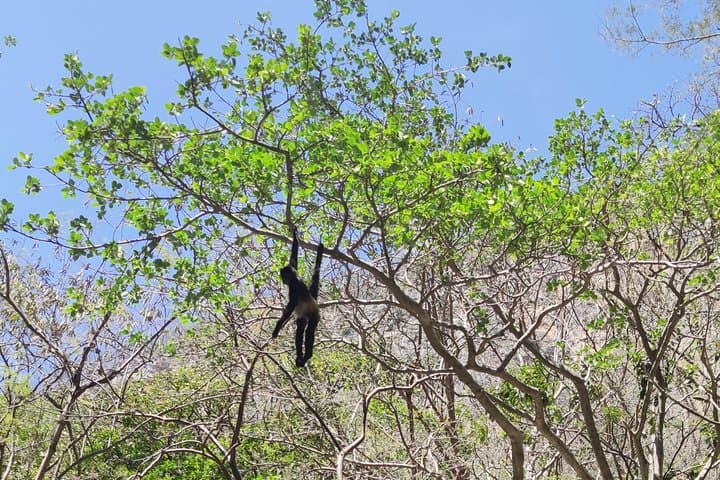 Sumidero Canyon Boat Cruise & Chiapa de Corzo Day Trip from Tuxtla or San Cristobal photo 5