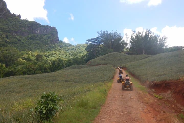 Moorea Magic Mountain ATV and Jet Ski Combo: Belvedere to Lagoon in One Day photo 4