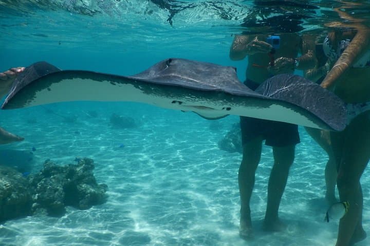 Moorea Grand Combo: 3-Hour Jetski and 2.5-Hour Quad from Opunohu Bay photo 3