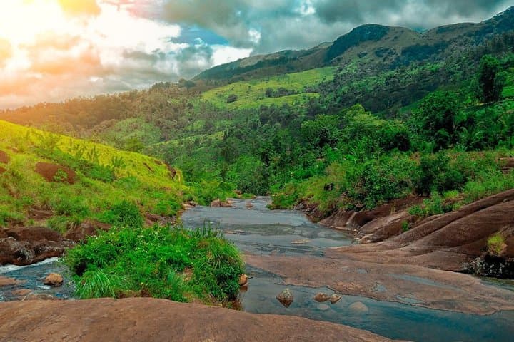 Nature Sri Lanka: 11-Day Wildlife & Rainforest Adventure photo 3