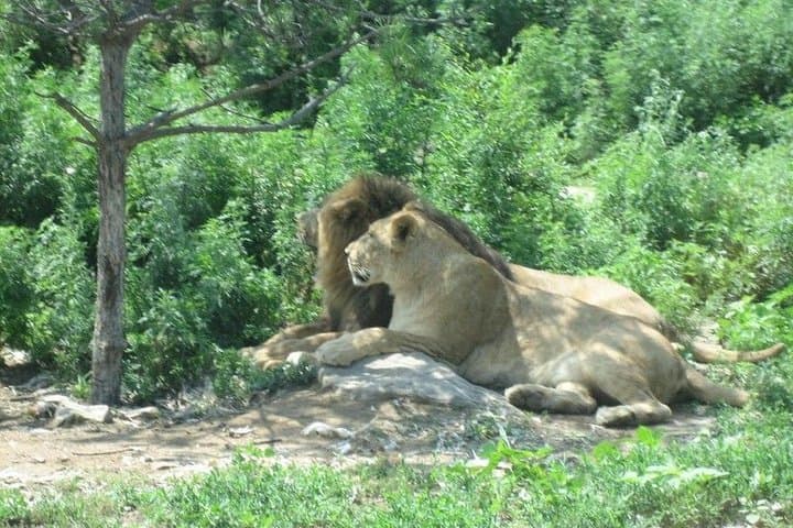 Longqing Gorge & Badaling Wildlife World: Private Day Tour from Beijing photo 4