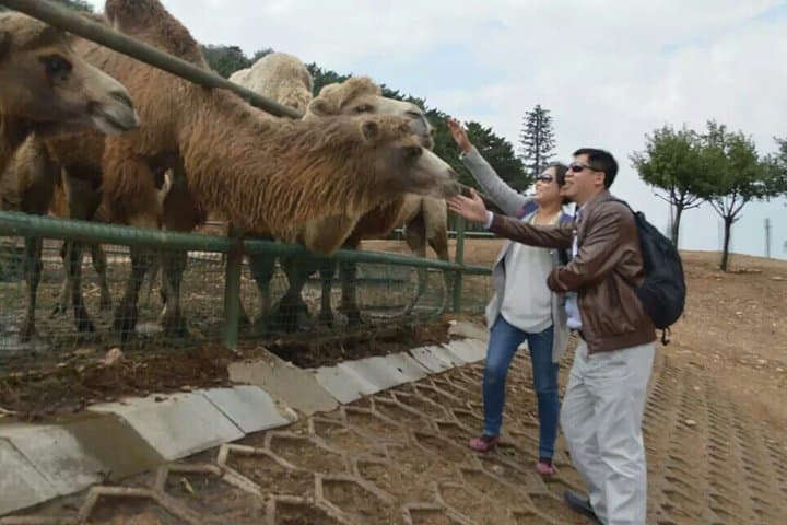 Longqing Gorge & Badaling Wildlife World: Private Day Tour from Beijing photo 5