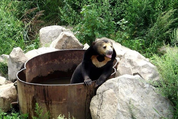 Longqing Gorge & Badaling Wildlife World: Private Day Tour from Beijing photo 6