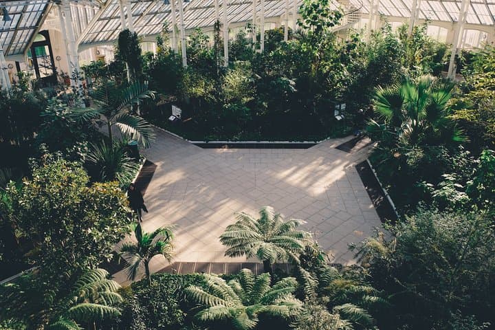 Kew Gardens Self-Guided Audio Tour — Explore Richmond's Royal Botanical Collection photo 5