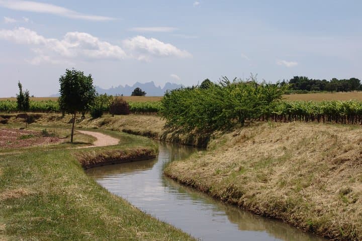 Walk the Medieval Sèquia: Guided Tour from Parc de l'Agulla to Sant Iscle photo 4