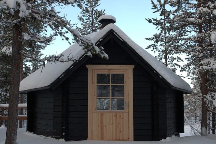 Snowshoe Lapland: Guided Winter Walk with a Local Biologist photo 3