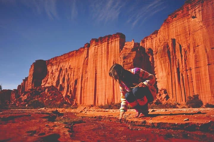 Valle de la Luna (Ischigualasto) Full-Day Tour from San Juan