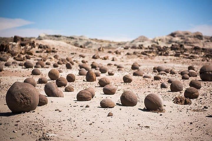 Valle de la Luna (Ischigualasto) Full-Day Tour from San Juan photo 3