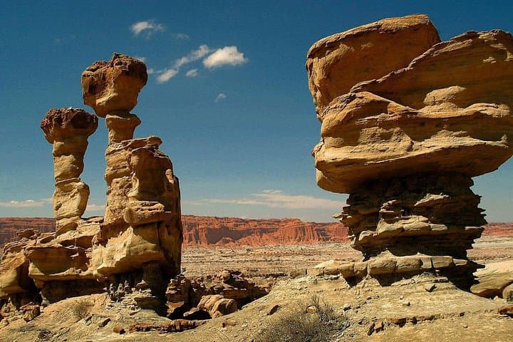 Valle de la Luna (Ischigualasto) Full-Day Tour from San Juan photo 4