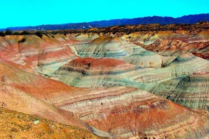 Valle de la Luna (Ischigualasto) Full-Day Tour from San Juan photo 5