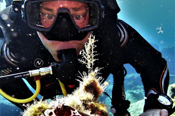 Try Scuba in Mandraki Harbor: Private Beginner Dive in Rhodes photo 2