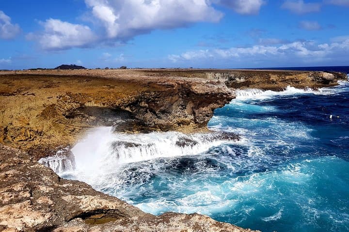 Explore Washington Slagbaai National Park: Full-Day Tour and Snorkel in Bonaire photo 3