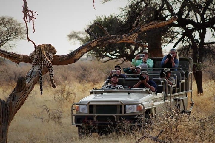 Classic Kruger National Park Safari: Panorama Route, Blyde River Canyon & Big Five Game Drives photo 2