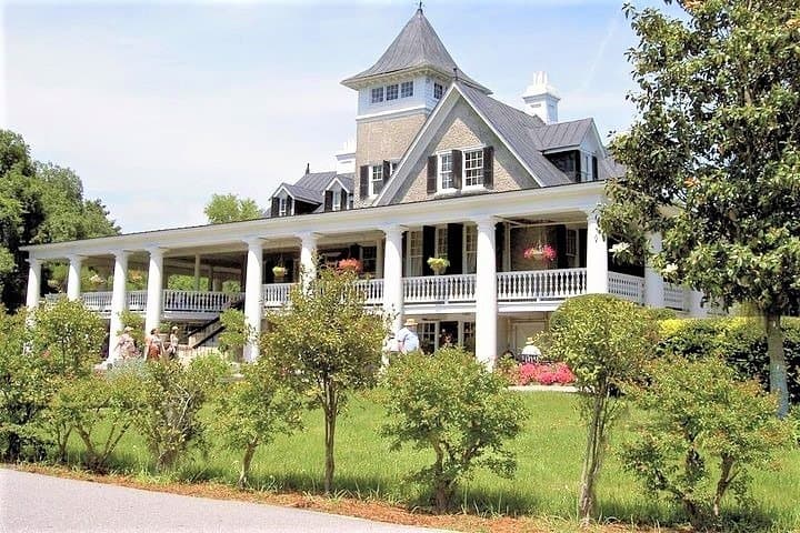 Exploring Magnolia Plantation: A Historic Garden Tour with Wildlife on the Ashley River