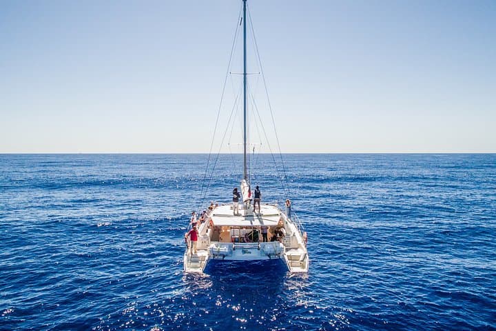 Madeira Magic Dolphin Celebrity Small-Group Catamaran Whale and Dolphin Watching