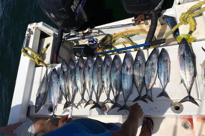 Puerto Vallarta Sport Fishing: 29' Nava Skiff Nearshore & Offshore Charter photo 3